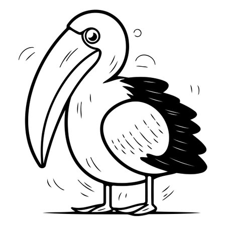 Pelican vector illustration. Isolated pelican on white background.のイラスト素材