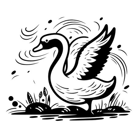 Vector illustration of swan in black and white colors on a white backgroundのイラスト素材