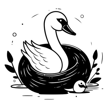 Swan in the nest. Vector illustration in doodle style.のイラスト素材