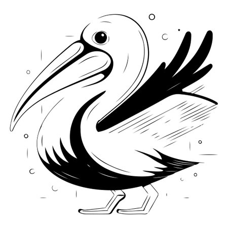 Vector illustration of a pelican on a white background. Cartoon style.のイラスト素材