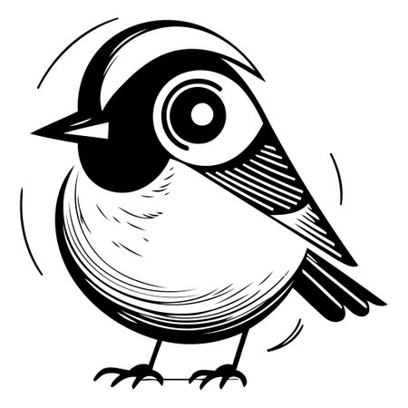 Vector hand drawn illustration of a titmouse isolated on white background.のイラスト素材