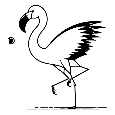 Flamingo bird. Vector illustration of a flamingo bird.のイラスト素材