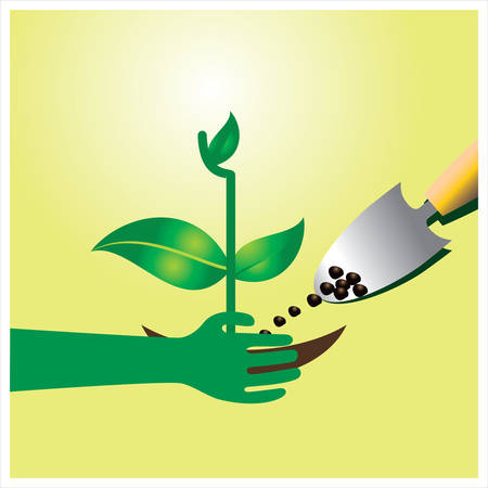 Gardening, agriculture   harvesting  Vector illustrationのイラスト素材