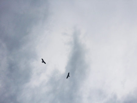 clouds in sky