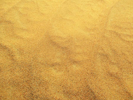 Sand dunes in Sahara desertの写真素材