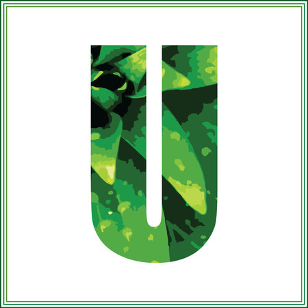 Alphabet letter U with green leaves. Vector font for your design.のイラスト素材