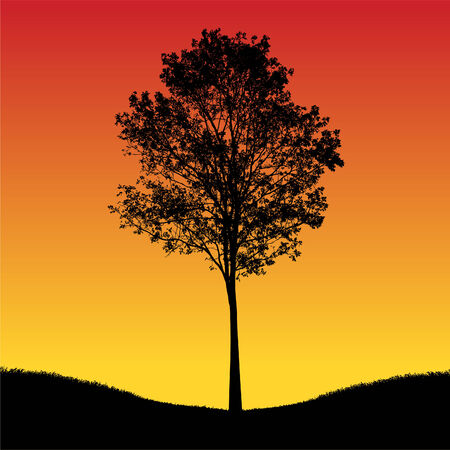 Tree silhouette のイラスト素材