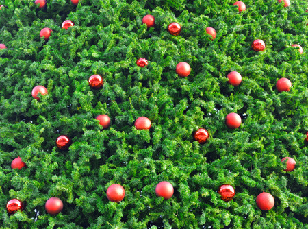 Closeup of Christmas tree with red ballの写真素材