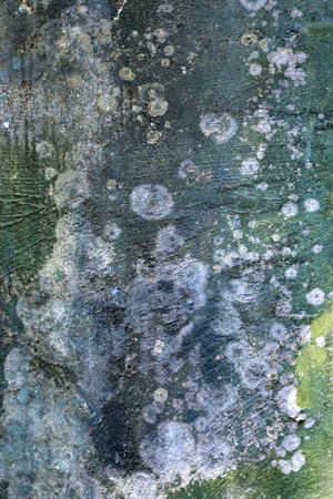 Grunge dirty wall background
