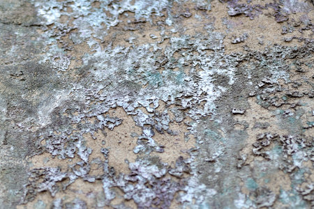 Closeup dirty wall texturesの写真素材