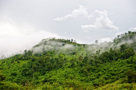 Clouds on the mountainsの写真素材