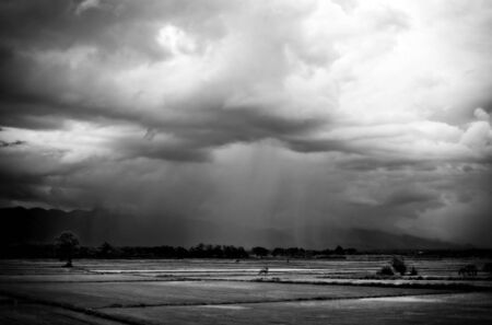 Rain cloud on rice fieldの写真素材