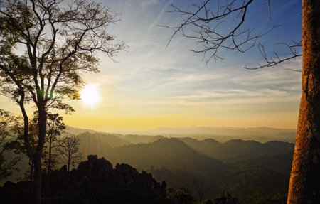 ree on top of the mountains : Nam Nao National Park, Thailandの写真素材