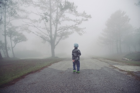 Little boy walking through the mist in forest : Thailandの写真素材