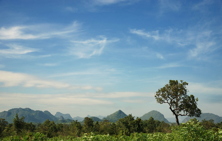 Tree and Mountains green valley : Northeast Thailandの写真素材