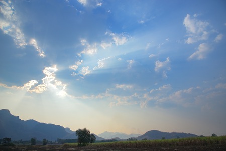 Sugarcane with mountain range in background, Northeast Thailandの写真素材