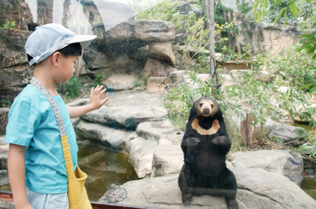 Little boy looking Malayan sun bear in zooの写真素材