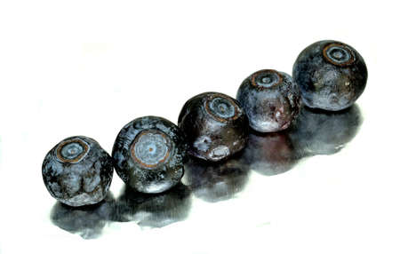 A line of blueberries with reflection の写真素材