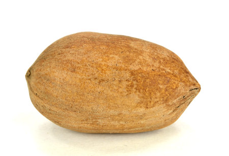 Closeup of a pecan on awhite background.