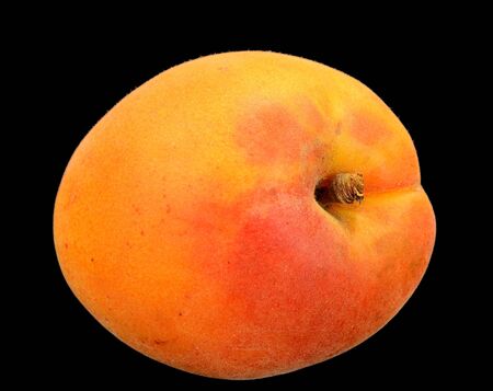 Closeup of an Apricot on a black background.の写真素材