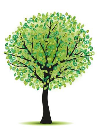 beauty green tree isolated on white bacgroundのイラスト素材