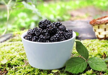 bowl with fresh  blackberry fruitsの写真素材