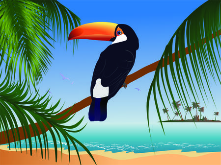 Toucanのイラスト素材