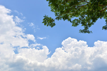 Clouds in the sky