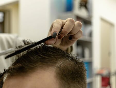 the man sits and he is cut. a mans haircut. womens hands of a hairdresser. scissors, comb, hair. neat haircut. process of trimming a person.の写真素材