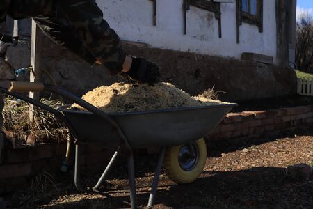 hands in work gloves throw sawdust on a one-wheeled cart. bright colors of the spring sun, work clothes, kitchen gardenの写真素材