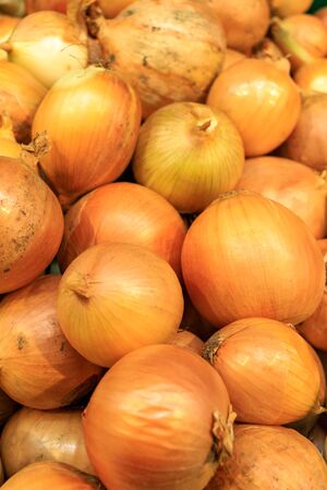 fresh onion lies in a bunch. shot at close range. High quality photoの写真素材