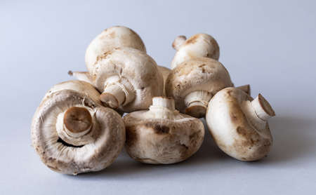 Mushrooms lies on a gray background. Champignons photographed at close range. . High quality photoの写真素材