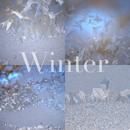 Square collage of four winter frost photos
