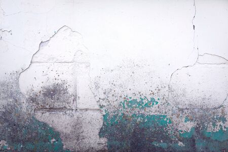 Old white dusty brick wall with cracks and moss structure, covered with stucco and green paint. Colorful backgroundの写真素材