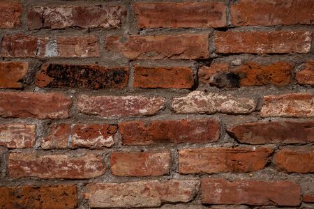 Red brick wall texture background. Old weathered and cracked red and orange bricks with gray concrete and white and black paint marks. Close upの写真素材