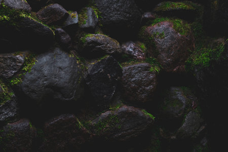 Dark wet stone texture background. Foggy faded black natural stones with green moss in cave. Close...