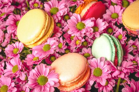Colorful macaroons with pink flowers bouquet background background.Valentines Day (14 February), Mother's day, Birthday, Easter or Woman's day (8 March) concept.Variety of french almond macaron cookiesの写真素材