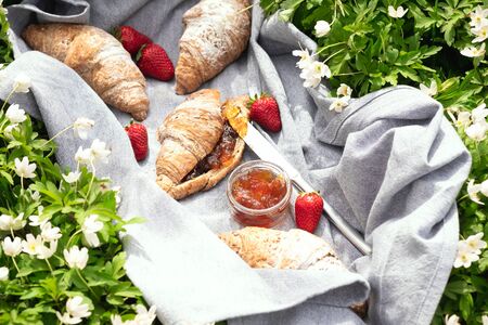 Croissants, strawberries and jam. Summer picnic on a sunny day. Breakfast on green grass in the garden with white spring flowers blossom. Eating food outdoor. Spreading jam. Copy space, close upの写真素材