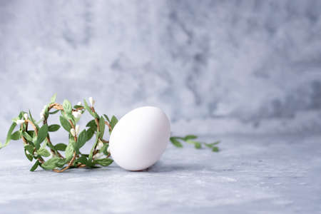 One white egg with a green branch on a gray background, close up. Easter background.の写真素材