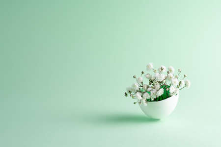 Gypsophila flowers in eggshell on a green background, close up. Easter background.の写真素材