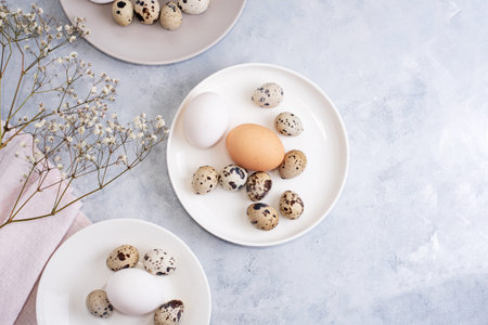 Chicken and quail eggs on white plates with gypsophila on a gray background, top view, copy space, close up. Easter concept.の写真素材