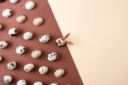 Rows of quail eggs and one Easter bunny egg on a brown-beige paper background, modern easter background, top view, copy space, close up.の写真素材