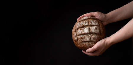Female hands hold round rye bread on a black background, banner, close upの写真素材