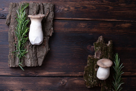 Two fresh king trumpet mushrooms with a sprigs of rosemary on a bark on a wooden background, rustic style, close up.の写真素材