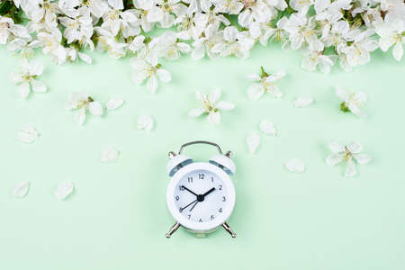 White cherry flowers with petals and vintage alarm clock on green background, spring time concept, close up.の写真素材