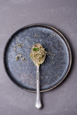 Flax and lucerne sprouts in spoon on gray background, germinated microgreens, healthy nutrition...