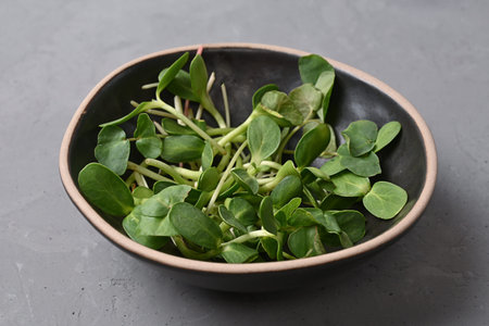 Healthy nutrition concept, sprouted sunflower microgreens in a bowl on a gray background, vegetarian...