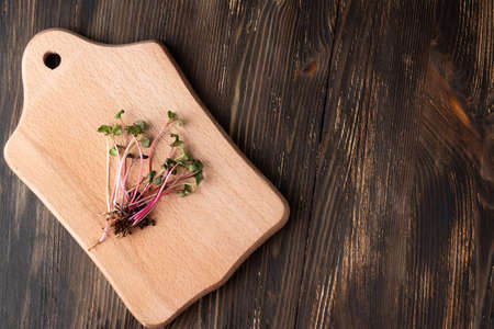 Radish sprouts on a white background, microgreens of vegetables for a healthy eating, close-up.の写真素材