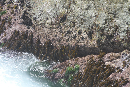 Pfeiffer Big Sur California Beach