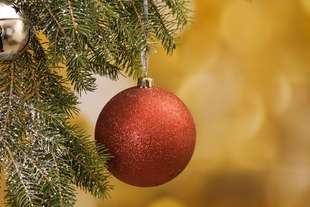 A bright red decoration hanging on a tree branch .の写真素材